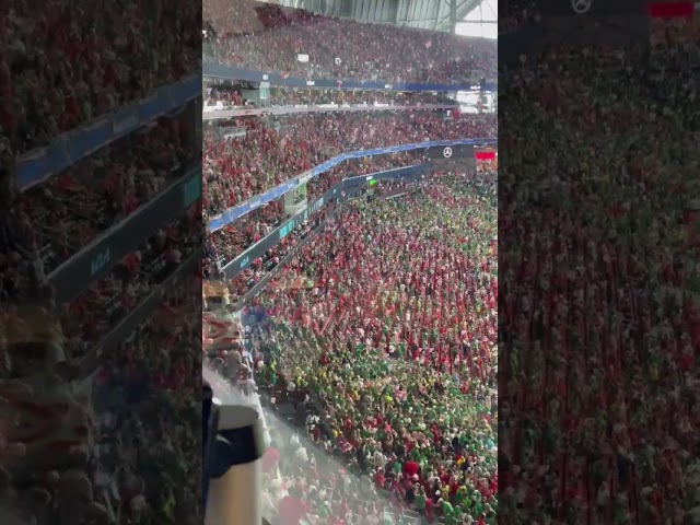 Cows parachute from the rafters at the 2021 Chick-fil-A Kickoff Game between Georgia and Oregon