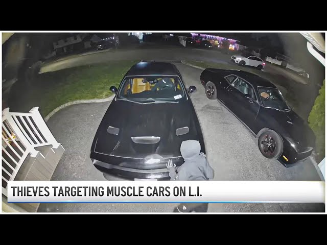 Challenger Hellcats STOLEN from OWNERS House while they WATCHED & did NOTHING!