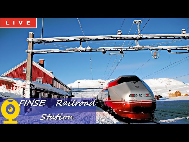 ❄️🅻🅸🆅🅴❄️FINSE Railway Station🚂Norway🚆Snow Storm🚄Blizzard Norge🥶Jernbanestasjon🌬️⛷️BergenLine to Oslo