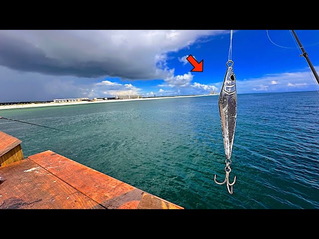 I TOSSED a JIG! off the GULF STATE PIER and THIS is What I CAUGHT!