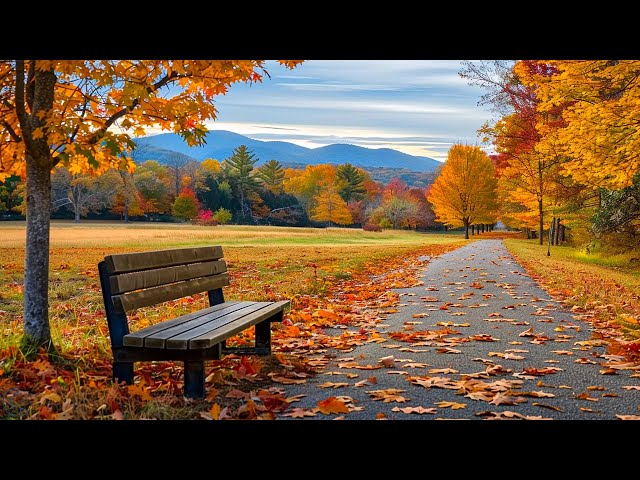 Autumn Melody of Love 🍁 For three months I listened only to this music. Healing music