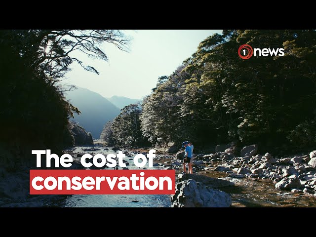 New Zealand considers visitor fees for national parks and conservation areas | 1News on TVNZ+