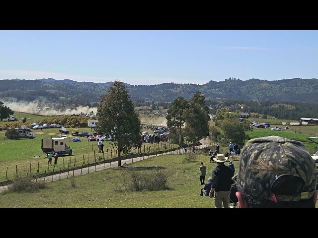 Thierry NEUVILLE & Martijn WYDAEGHE  . PE n° 4 Rally Chile 2024. Categoría WRC