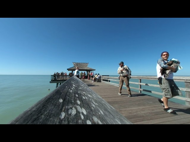 Naples Florida Pier Beach Pelicans VR180 3D