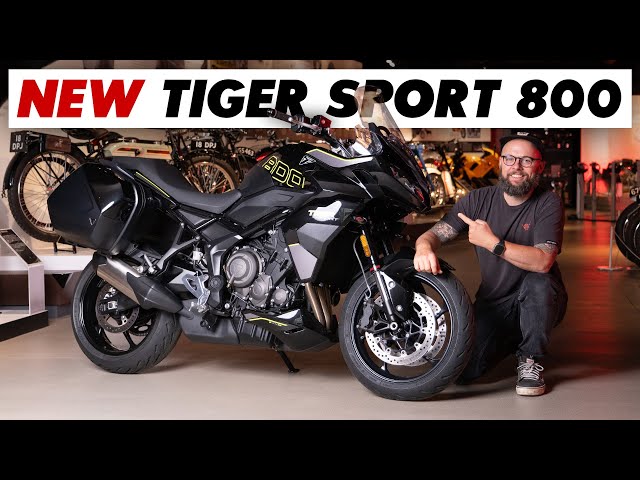 New 2025 Triumph Tiger Sport 800 Announced: Full Specs & Price!