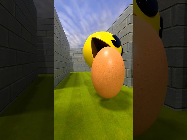 PACMAN VS THE EGG #shorts #thepacman #pacman #animation