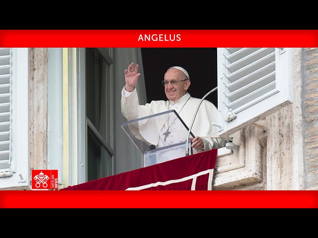 Angelus17 de novembro de 2024 - Papa Francisco