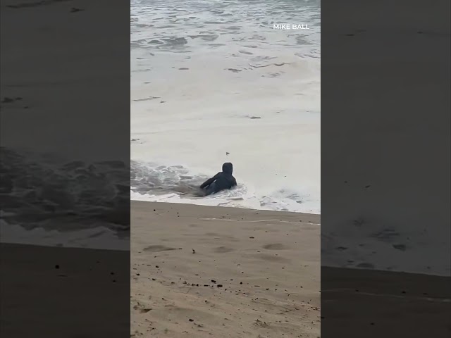 Woman nearly swept away during king tides season at Oregon Coast