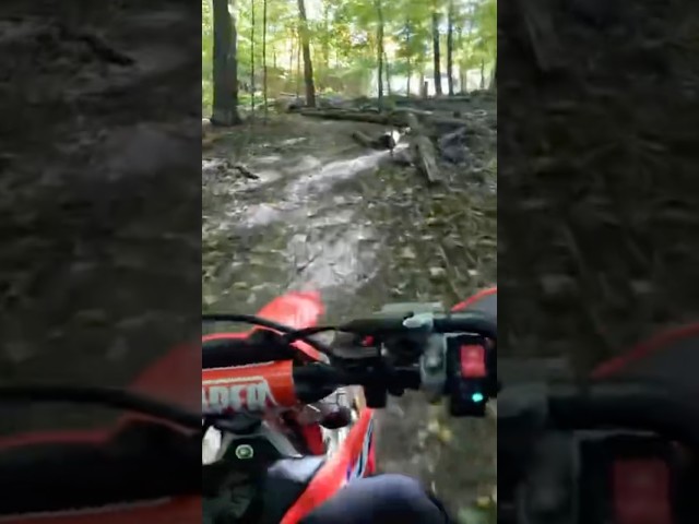 Lil Shortcut through Woods #dirtbike #offroadbike #moto #trailbikes #crf125f #crf #pitbike #honda