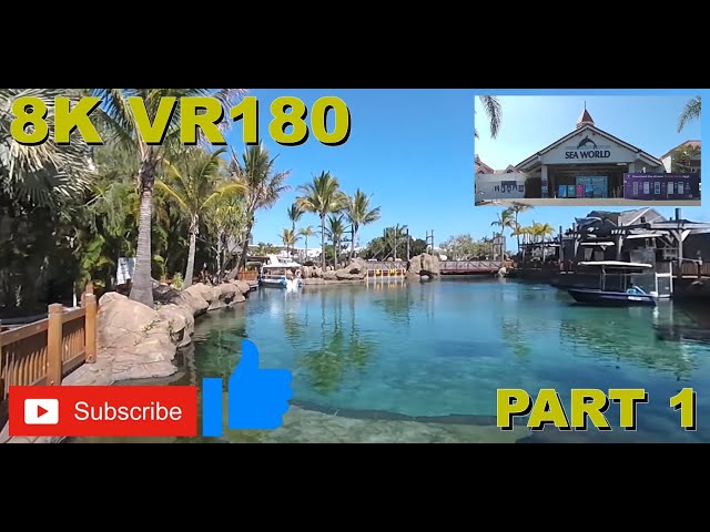 8K VR180 3D Part 1 Sea World Gold Coast Australia Walkthrough (Travel videos, ASMR/Music 4K/8K)