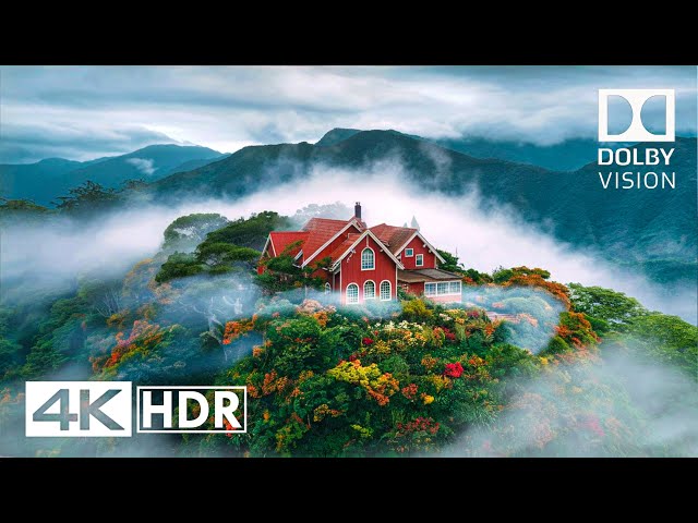 Most Special 4K HDR 60 FPS Dolby Vision (4K Video)