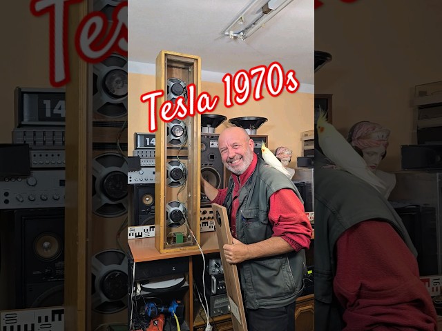 1970s Vintage TESLA SPEAKERS - What is inside?