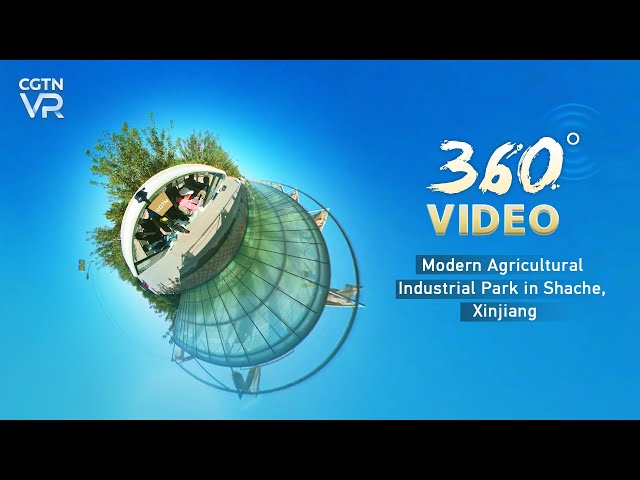 360° Video: Modern Agricultural Industrial Park in Shache, Xinjiang