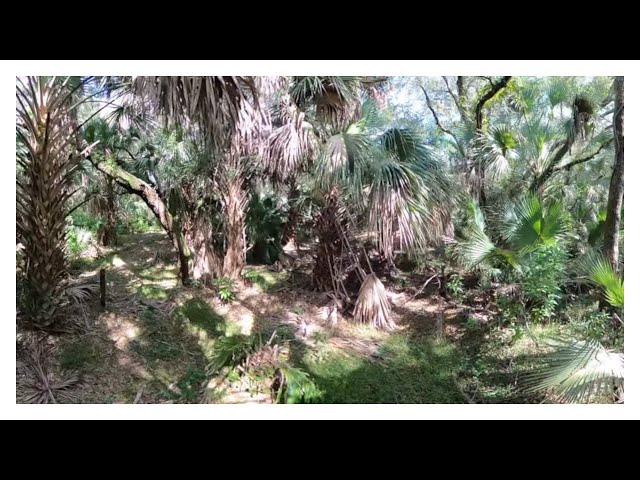 2022-11-06 Walk - Palm Beach Gardens, FL - Prosperity Oaks