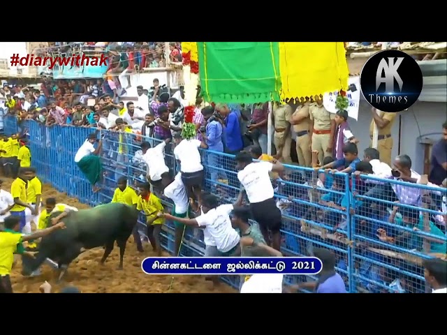 🔴LIVE -  Jallikattu 2021 | Pongal Festival #diarywithak