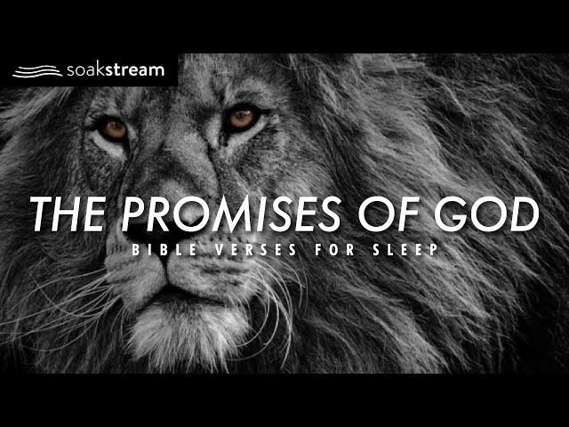 The Promises of God | Bible Verses For Sleep