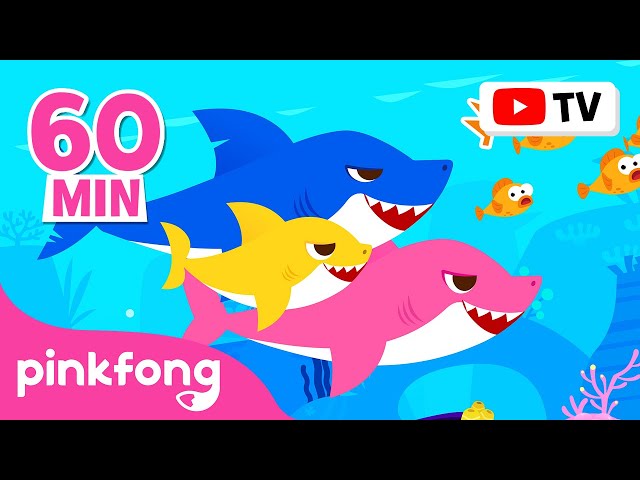 Baby Shark Dance More and More | Doo Doo Doo 60 Min | Baby Shark Non-Stop | Pinkfong Songs for Kids