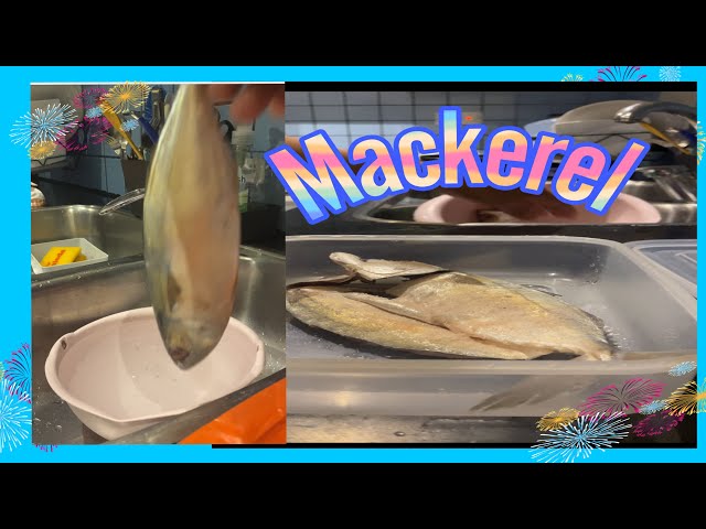 Nor cooks cooking/fish cleaning mackerel#asmr#fish#livestreaming