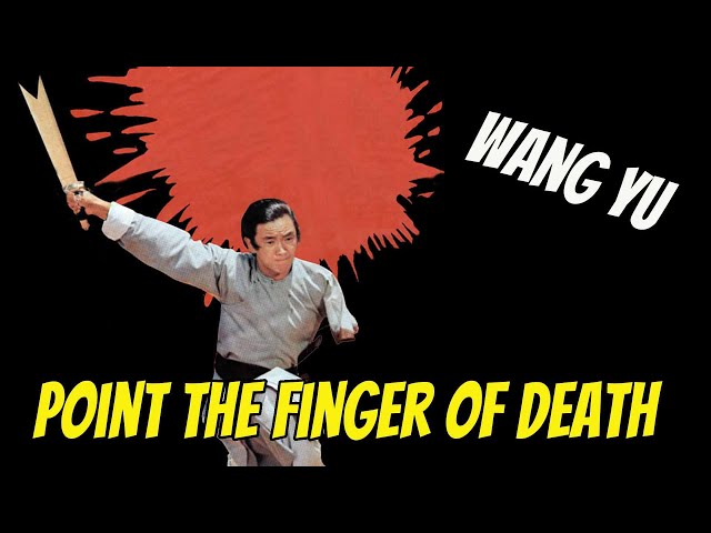 Wu Tang Collection - Point the Finger of Death