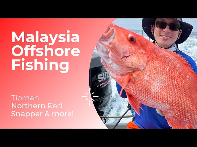 Malaysia Offshore Fishing - Northern Red Snapper & more