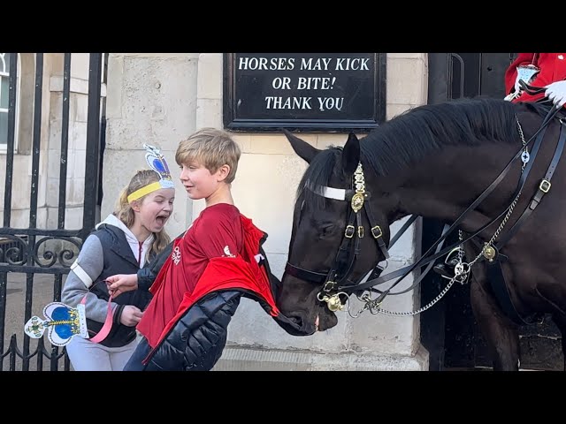 Horse Bites And Pulls Boy’s Jacket Off 🤣