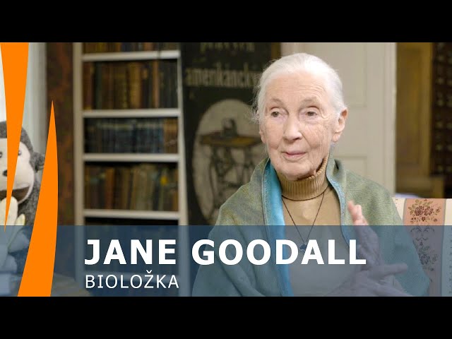 "Dovedu si představit, že lidstvo vymře." Bioložka Jane Goodall na Hausbotu Petra Horkého