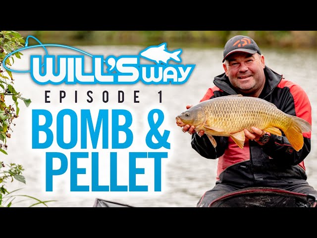 Will's Way | Bomb & Pellet | Will Raison | Match Fishing