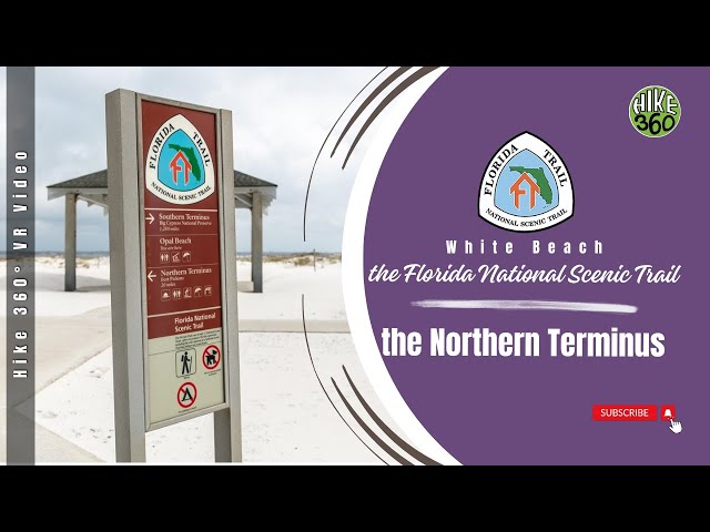 White Beach of the Florida National Scenic Trail at the Northern Terminus (Hike 360° VR Video)