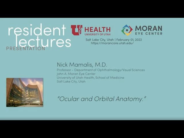 Ocular and Orbital Anatomy