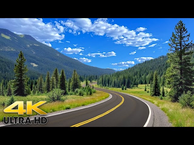 Idaho to Spokane Washington Scenic Drive 4K - Journey Through the Pines