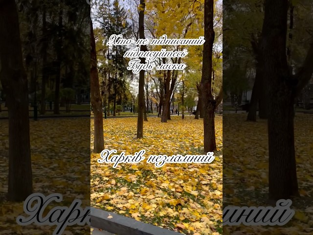 Харків незламний #kharkiv #харків #shortvideo #харьков