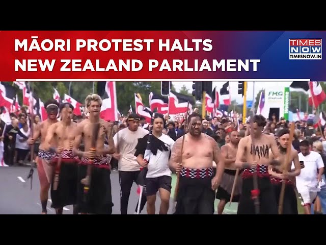 Māori Protest Halts New Zealand Parliament Amid Tensions Over Race Relations Law | World News