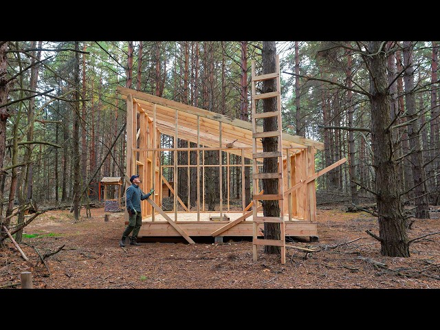 Building a huge cabin with my own hands