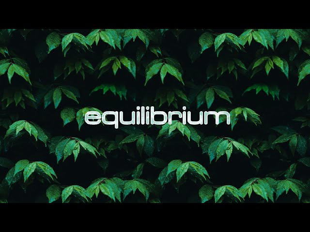 "Equilibrium" - A Skate Video From Atlanta.