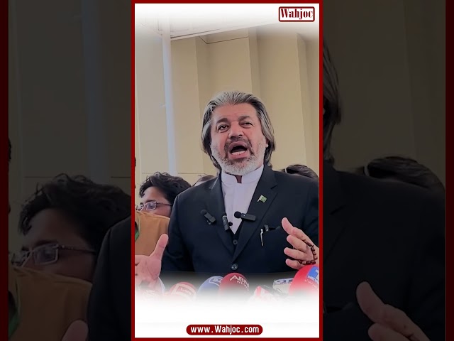 Ali Muhammad Khan Talk About PMLN, PPP & JUIF | Talk About Imran Khan | Wahjoc