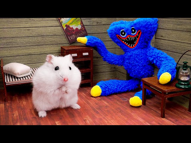 Hamster Survival In The Most Dangerous And Extreme Mazes 🐹 Hamsterious Live 24/7