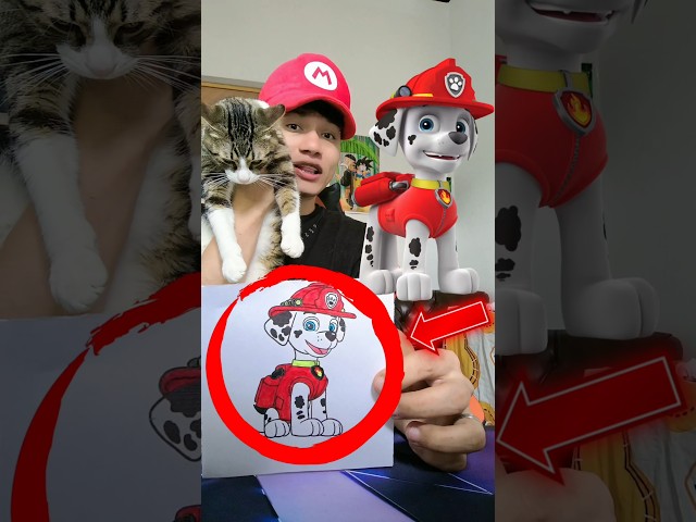 PINTANDO A MARSHALL DE PAW PATROL CON LOS COLORES QUE ELIJA MI GATO #shorts