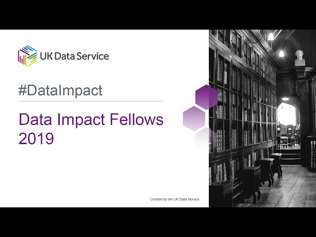 Data Impact Fellows 2019