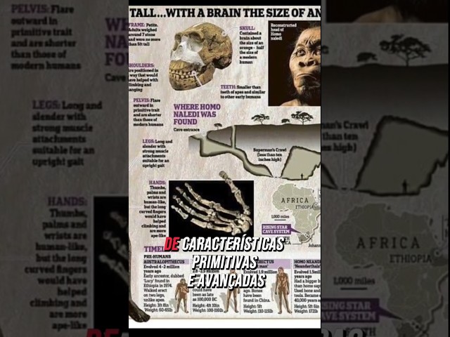 Homo Naledi: O Ancestral Misterioso Descoberto na África