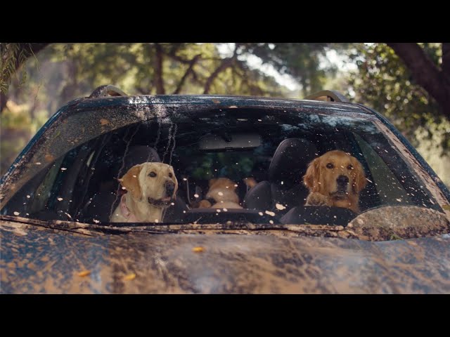 Off-Roading | Subaru Dog Tested TV Commercial