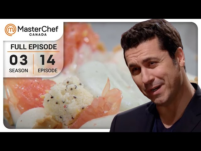 Top Chefs, Top Ingredients! | MasterChef Canada | S03 E14