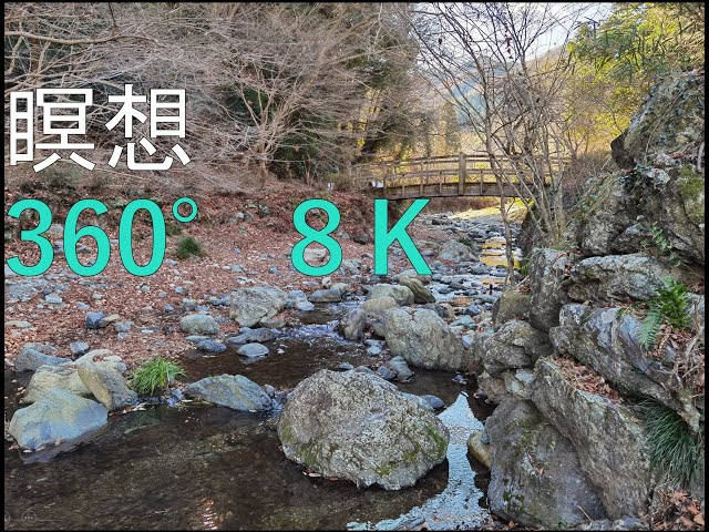 360 PANO VIDEO〚瞑想〛小川のせせらぎ