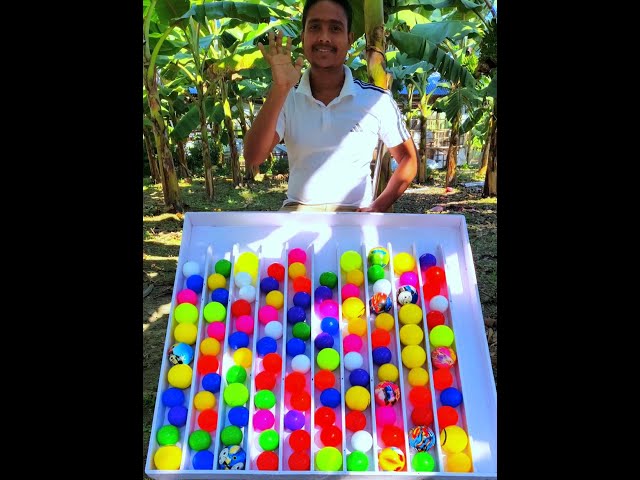 Shorting Challenge Colours Ball Game