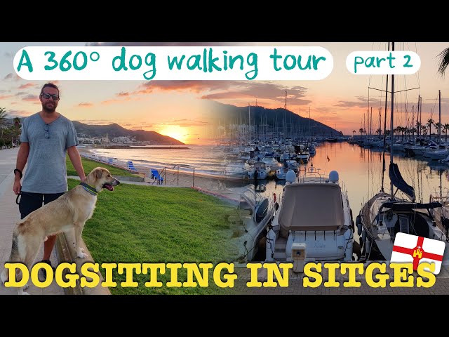 We did HOUSE SITTING in this CHARMING town in SPAIN - MUST VISIT! - A 360 video tour