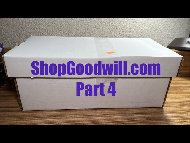 Part 4 of the ShopGoodwill Box!!!  Are we Done yet?  Closer to emptying this suspiciously big box!