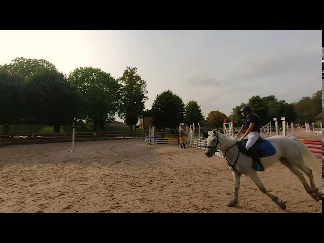 Horse Show Jumping (VR180, spatial audio)