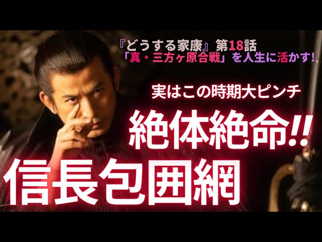 【日本史】NHK大河ドラマ「どうする家康」を人生に活かす解説（第18回）「真・三方ヶ原合戦」白駒妃登美（しらこまひとみ）