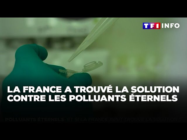 Polluants éternels : et si la France avait trouvé la solution ? ｜TF1 INFO