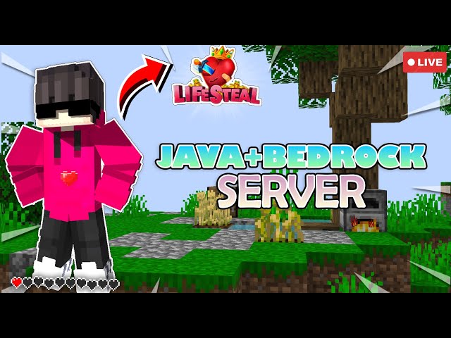 MINECRAFT NEW PUBLIC LIFESTEAL SMP || LIVE || SEASON-1|| GXDSHOURYA