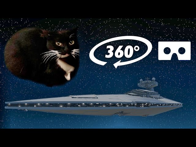 MAXWELL THE CAT in STAR WARS 360° VR - Virtual Reality Experience